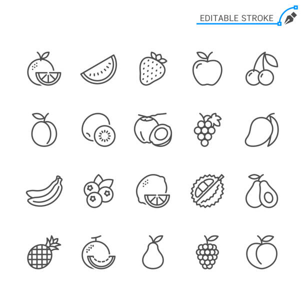 ilustraciones, imágenes clip art, dibujos animados e iconos de stock de iconos de líneas de frutas. trazo editable. pixel perfecto. - comida sana ilustraciones