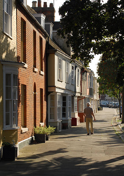 Beautiful cobblestone lane at sunset with roses in the old town of Rye, East Sussex, England