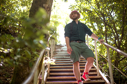 Hiker walks over wooden stairs through green forest in nature reserve park in summer season