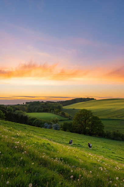 istock Out in the country 1227348538