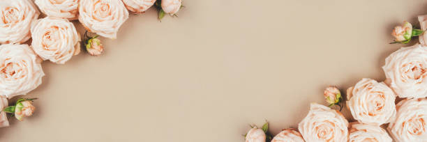 istock Spring background. Rose flowers on a beige background. 1227352333