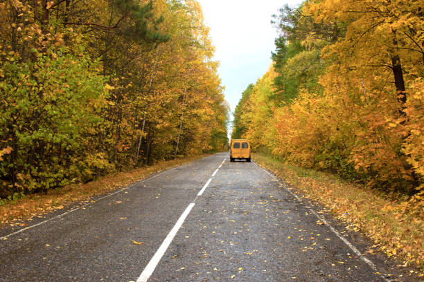istock Road in the autumnal forest 1227353887