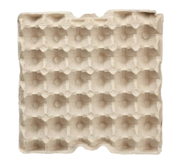 recycled square paper tray isolated on white background recycled square paper tray isolated on white background, top view egg carton stock pictures, royalty-free photos & images