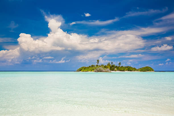 istock Beautiful sunny ocean beach 1227354436