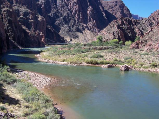 istock Colorado River in the Grand Canyon 1227356520