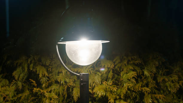 istock The backdrop is Bush that little light. Magic street lamp close-up with copyspace. Warm lantern light on a night background. 1227360734