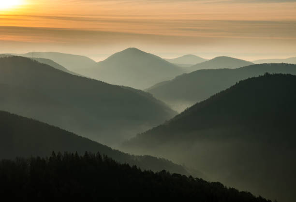 Lanscape photo of wood mountain hills with foggy morning blue and purple sky.