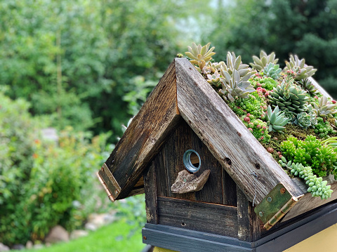A closeup of a wooden birdhouse