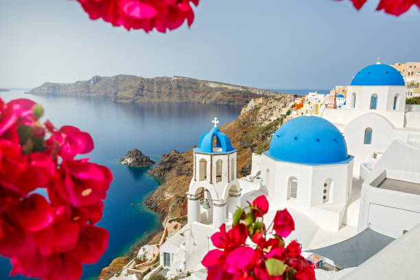 istock lowers blooming bougainvillea on the   Santorini 1227363604