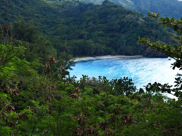 istock World Heritage Ogasawara 1227365220