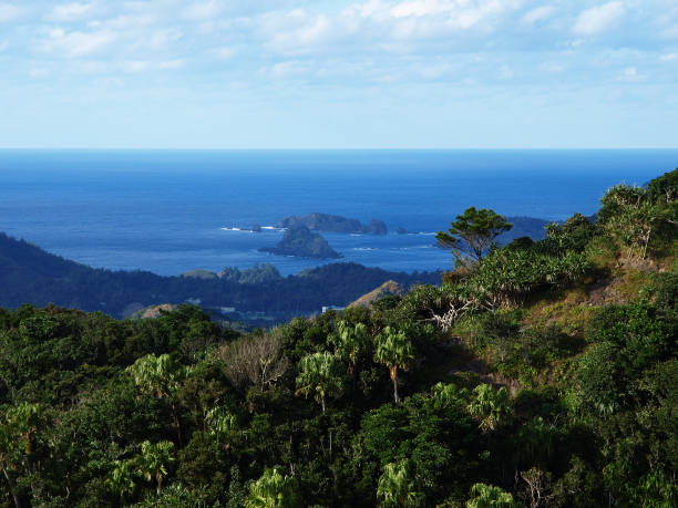 istock World Heritage Ogasawara 1227365329