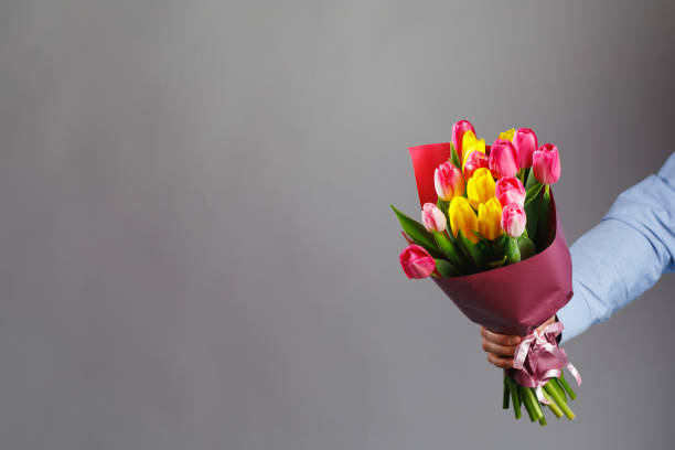 istock tulip flowers bouquet in hand, gray background with copy-space 1227365663