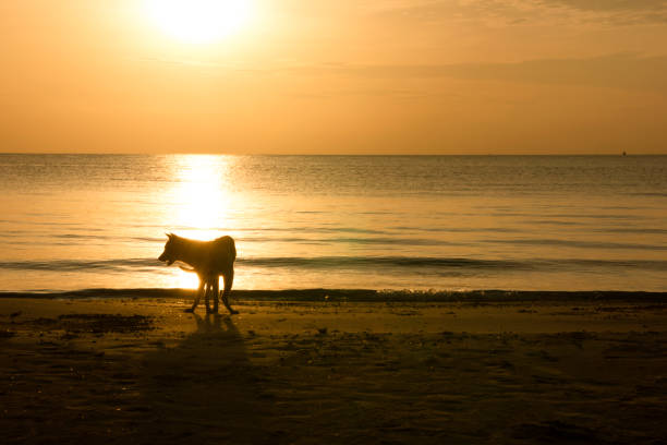 istock Khao Tao beach scenery, Thailand 1227366612