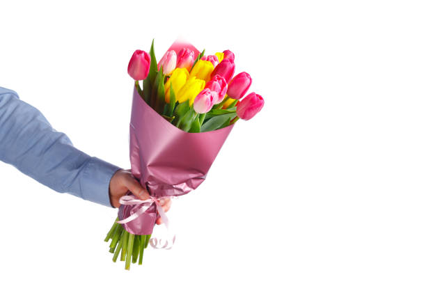 istock tulip flowers bouquet in hand, isolated on white 1227367063
