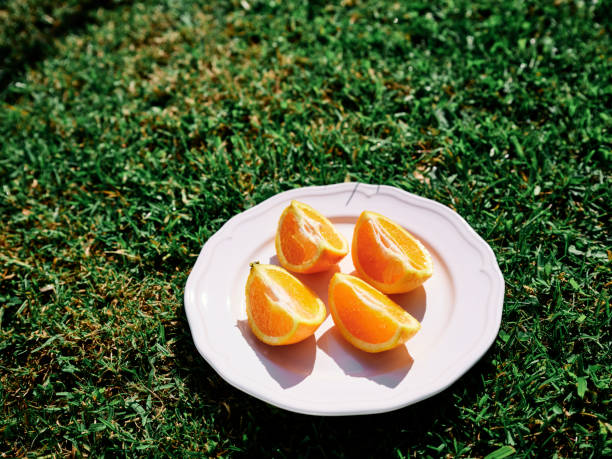 Sliced Orange cut into quarters on a white plate, outside on a green grass lawn on a sunny summers day. Taken with a Medium format Fujifilm GFX camera.