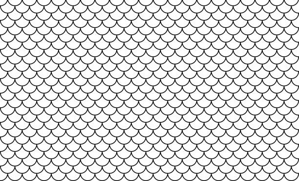 ilustrações, clipart, desenhos animados e ícones de linha arte de padrão de escala de peixe isolado em fundo branco, linha padrão de azulejo, grade de padrão cauda sereia para decoração - fish tail