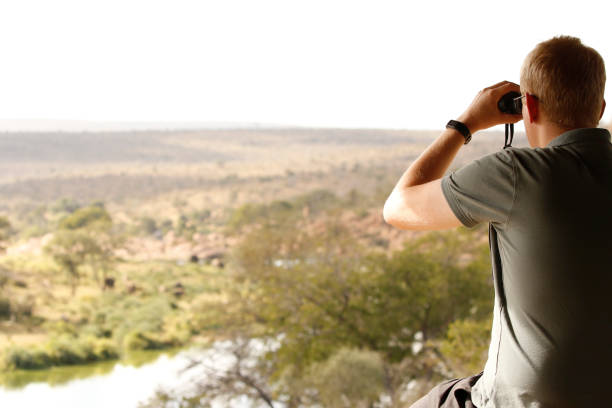 Person man people looking viewpoint binoculars safari African savanna jungle wildlife river stock photo