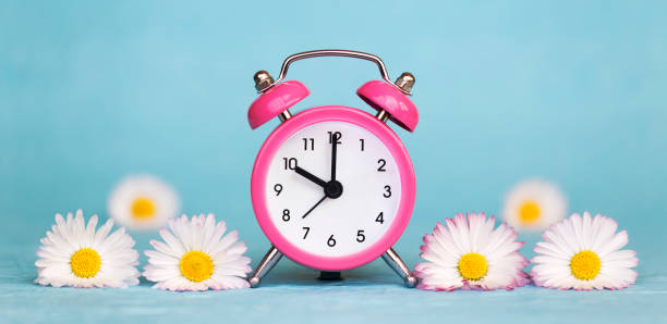 istock Alarm clock and white flowers on blue background, summer concept 1227372811