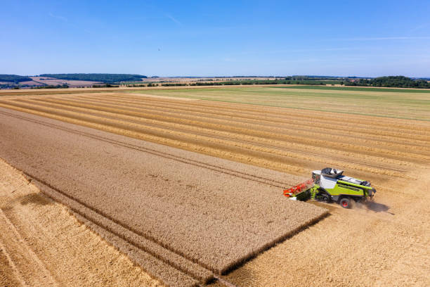 istock Harvester harvests wheat on a field from above 1227374233