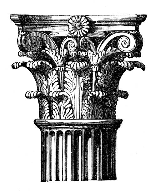 античная иллюстрация: коринфская столица - corinthian column stock illustrations