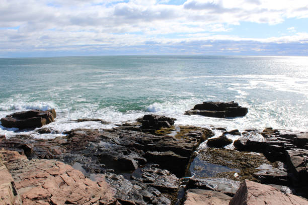 istock Nature in Bar Harbor, Maine 1227377424