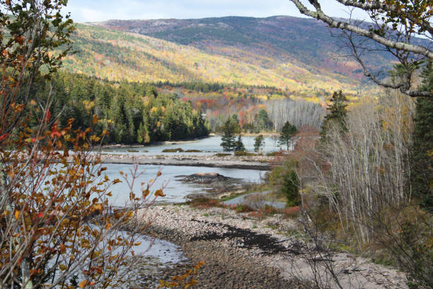 istock Nature in Bar Harbor, Maine 1227378139