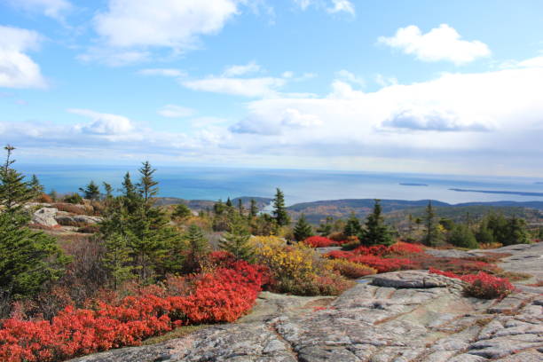 istock Nature in Bar Harbor, Maine 1227379177