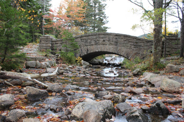 istock Nature in Bar Harbor, Maine 1227379182
