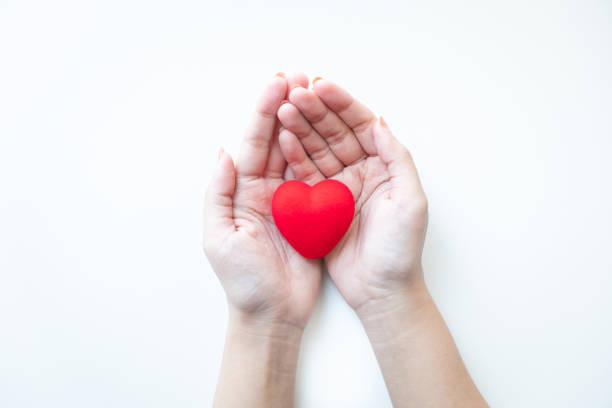 istock Female hands holding a red heart 1227382664
