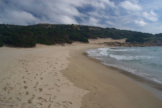istock Beach on the coast of Chia 1227384348