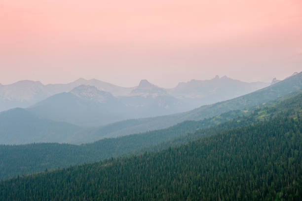 Taiga. Forest against the background of the sunset sky. Taiga. Forest against the background of the sunset sky. горная гряда stock pictures, royalty-free photos & images