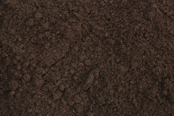istock Black land for plant background. 1227392715