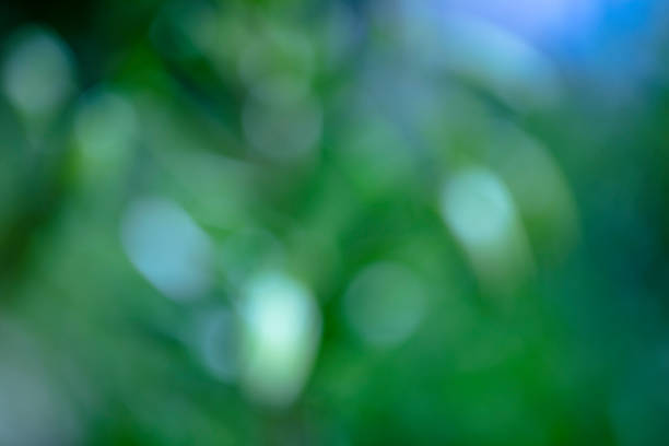 istock Minimalism and nature 1227394454