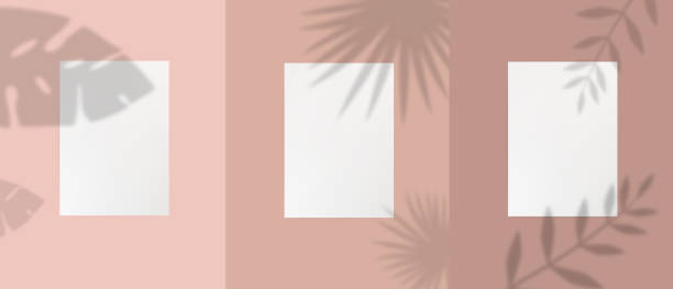 istock Set of empty white a4 paper template sheet with plant leaves, foliage and branches shadow 1227394685