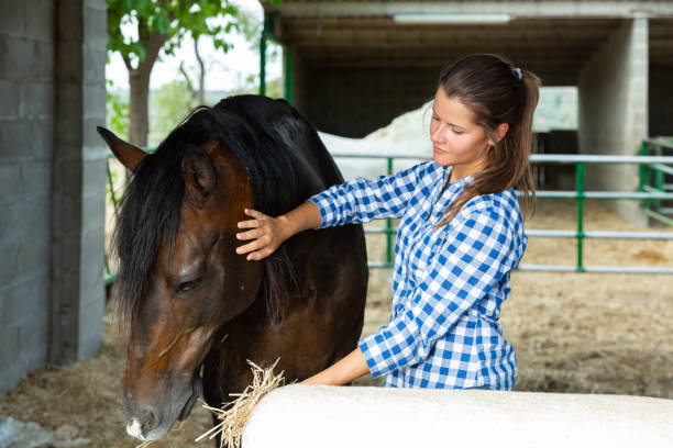 istock Young woman caring for horses 1227395853