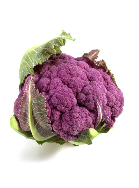 istock PURPLE CAULIFLOWER brassica oleracea AGAINST WHITE BACKGROUND 1227397310