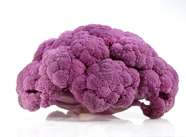 istock PURPLE CAULIFLOWER brassica oleracea AGAINST WHITE BACKGROUND 1227397321