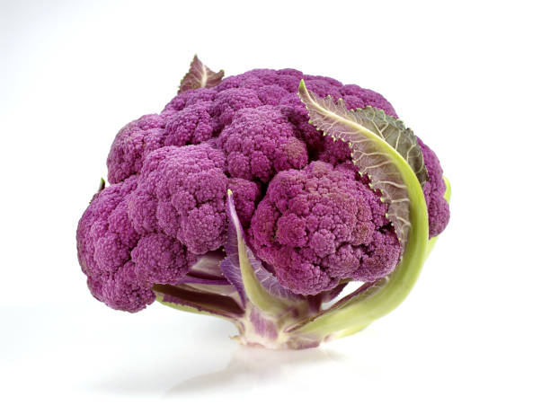 istock PURPLE CAULIFLOWER brassica oleracea AGAINST WHITE BACKGROUND 1227397337