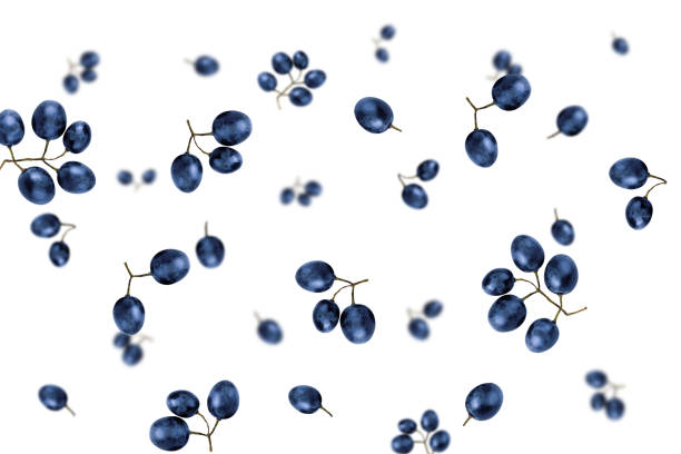 Click on banner for other fruit and vegetable images: