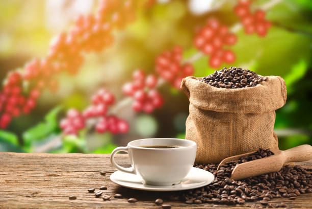 istock Cup of coffee and coffee beans in burlap sack on coffee tree background 1227400248