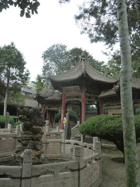 istock a chinese garden in shangai 1227408503