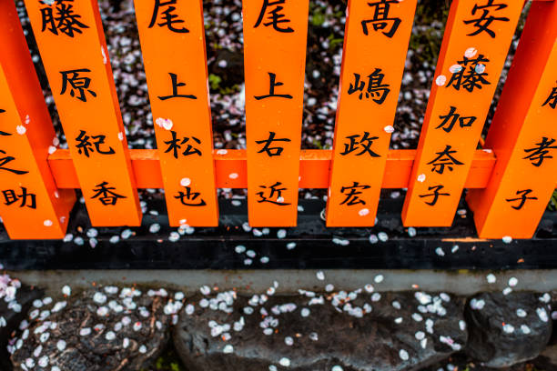 Kyoto, Japan - April 10, 2019: Gion district with cherry blossom sakura petals fallen on ground and on shrine text orange color in spring garden park