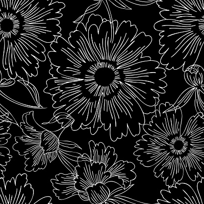 Hand drawn abstract garden flowers. Contour drawing. Large daisy heads in bloom. Summer floral seamless pattern. Line art flowers. Detailed outline sketch drawing. Fashion design, vintage style.