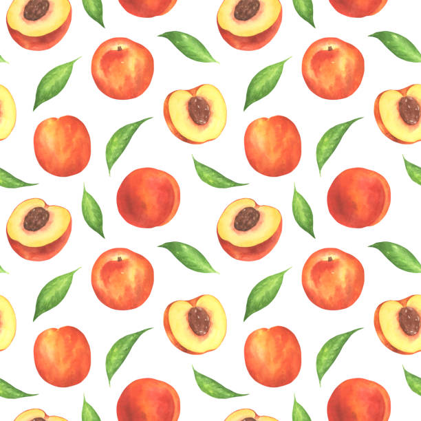 wzór owoców brzoskwini - nectarine peach backgrounds white stock illustrations