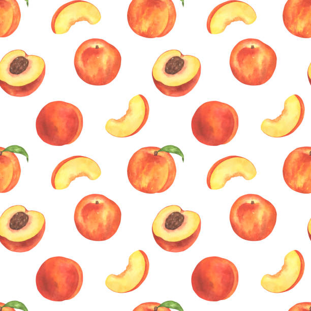 ilustraciones, imágenes clip art, dibujos animados e iconos de stock de patrón de fruta de melocotón - nectarine