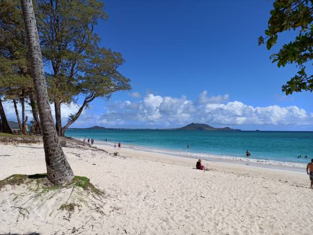 istock Kailua beach park oahu Hawaii 1227419561