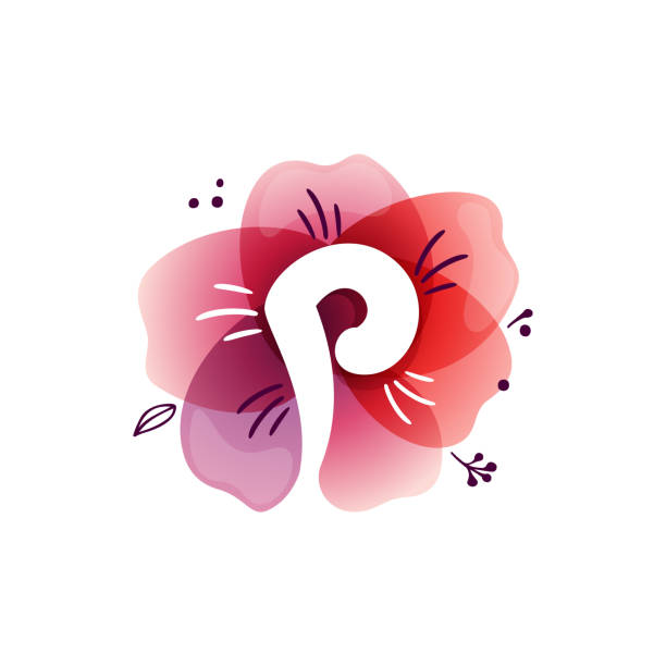 ilustraciones, imágenes clip art, dibujos animados e iconos de stock de logotipo de la letra p en la flor superpuesta de acuarela. - letter p floral pattern flower typescript