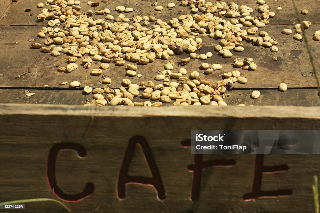 Sistema de secado de la tradicional café - Foto de stock de Agricultura libre de derechos