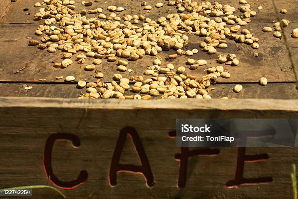 Sistema De Secado De La Tradicional Café Foto de stock y más banco de imágenes de Agricultura - Agricultura, América del Sur, Café - Cultivo