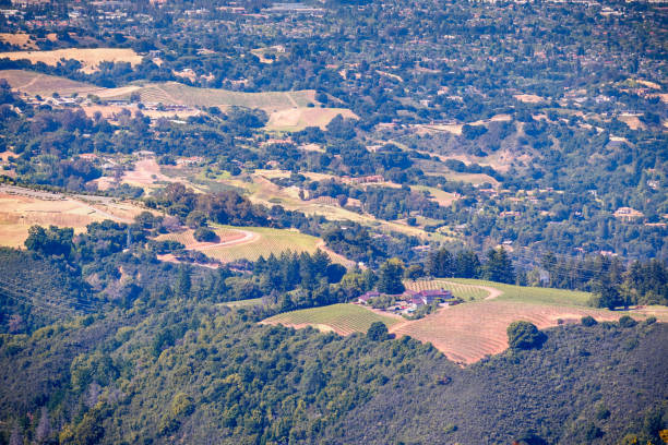 カリフォルニア州サラトガのサンタクルス山脈のブドウ畑や大邸宅に覆われた丘の空中写真 - winery vineyard california town of vineyard ストックフォトと画像